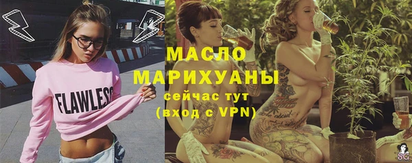 мяу мяу мука Гусь-Хрустальный