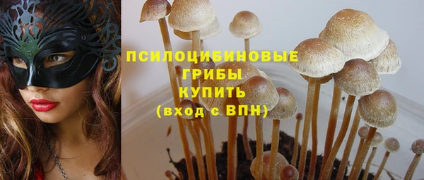 мескалин Гусиноозёрск